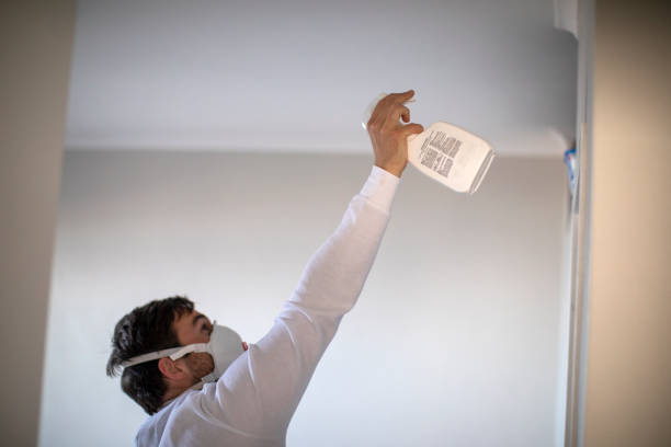 Best Localized Mold Remediation (e.g., coastal areas, humid climates) in Frostburg, MD