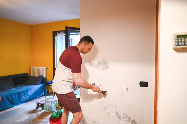 Best Industrial Mold Remediation in Frostburg, MD